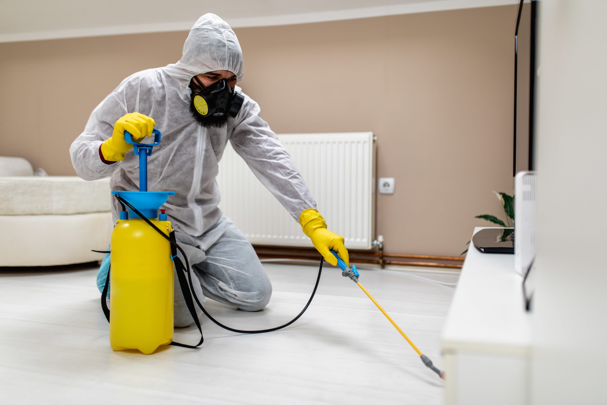 Sanitization Services In Pune