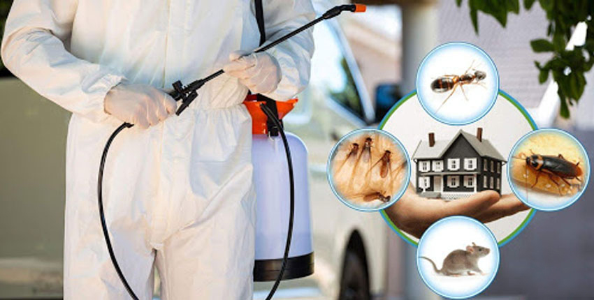 combination pest control services in pune